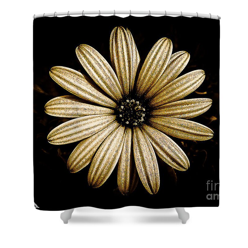 Nature Shower Curtain featuring the photograph Warmth #1 by Fei A