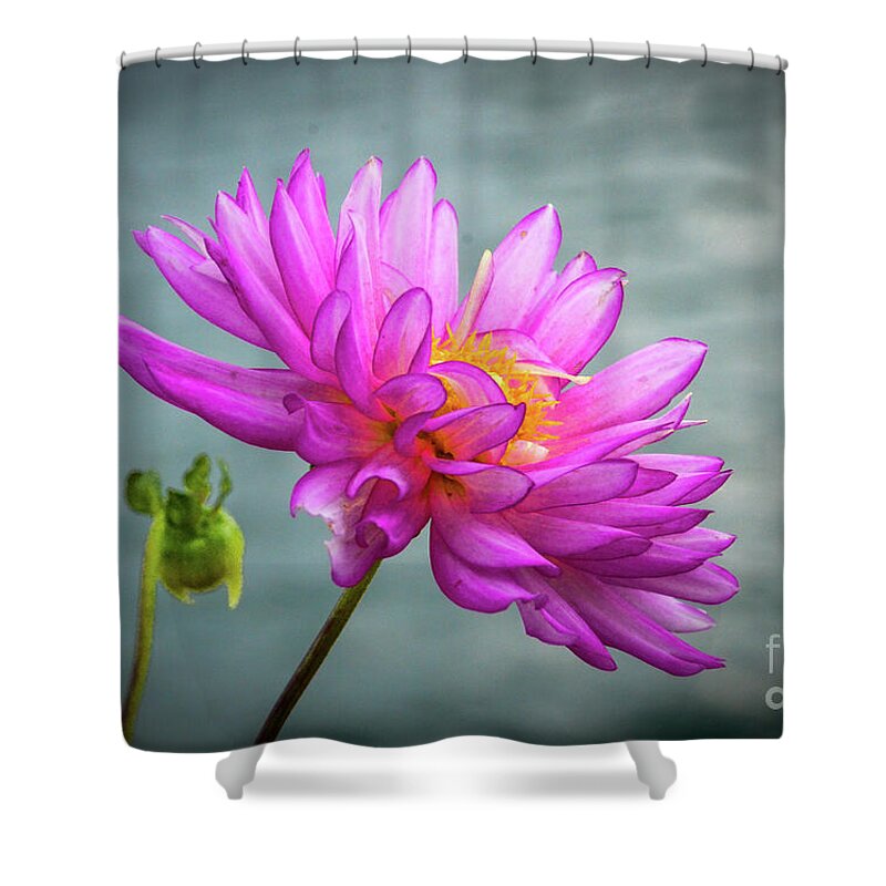 Lotus Flower Shower Curtain featuring the photograph Water Lily #2 by Randy J Heath