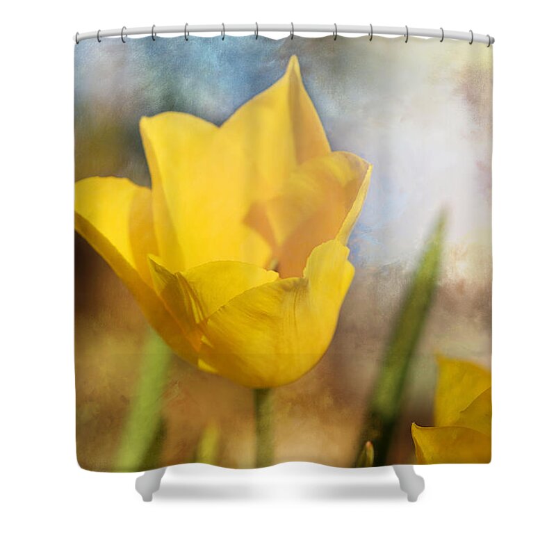 Water Lily Shower Curtain featuring the photograph Water Lily Tulip Flower #1 by Theresa Campbell