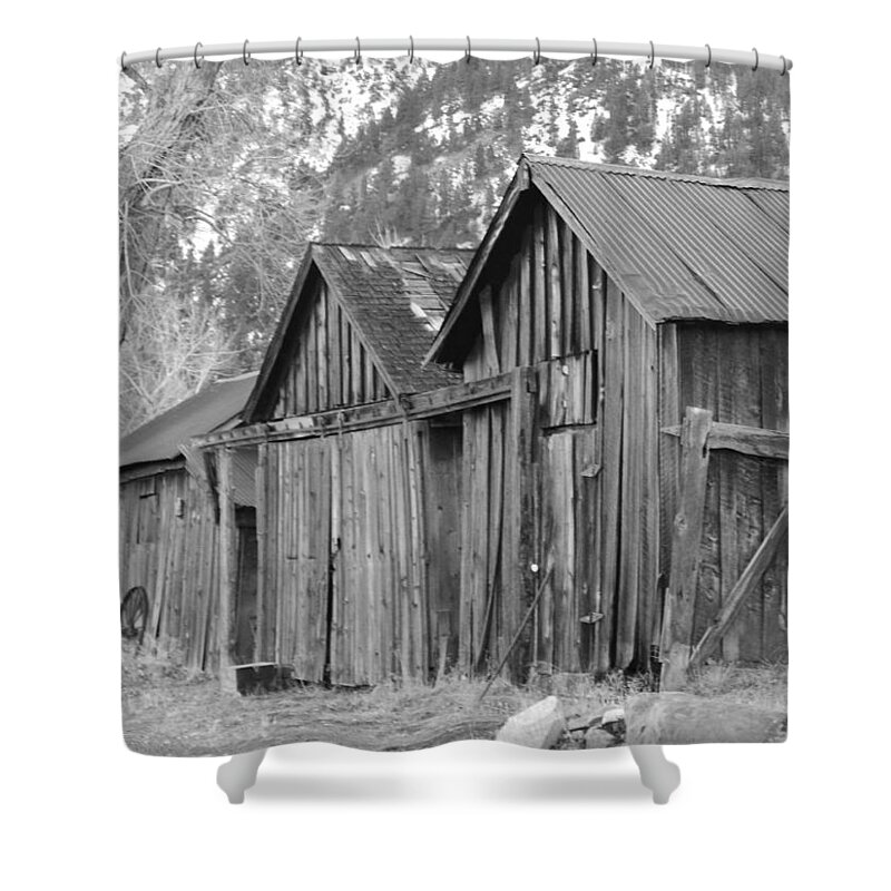 Trees Shower Curtain featuring the photograph Weathered Wood #1 by Marilyn Diaz