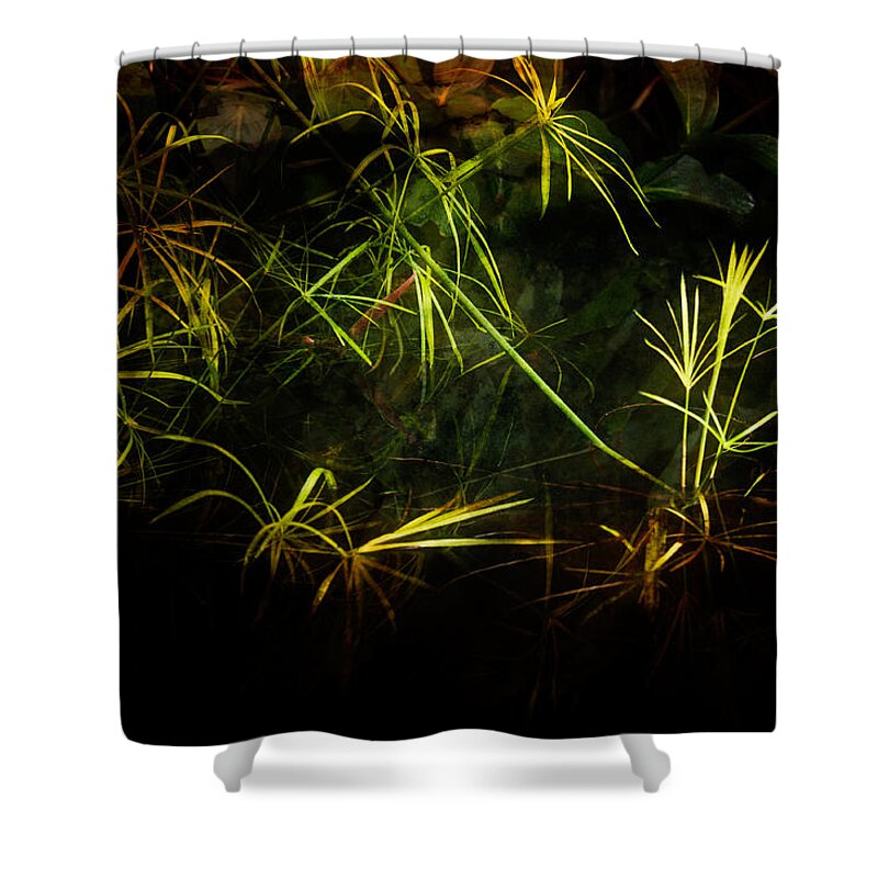 Water Shower Curtain featuring the photograph Weeds #1 by Harry Spitz