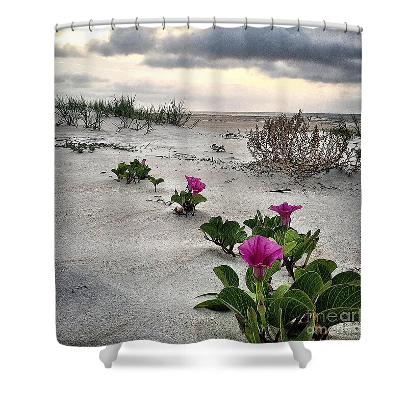 Saturday Shower Curtain featuring the photograph Weekend glories 6.18.16 #1 by LeeAnn Kendall
