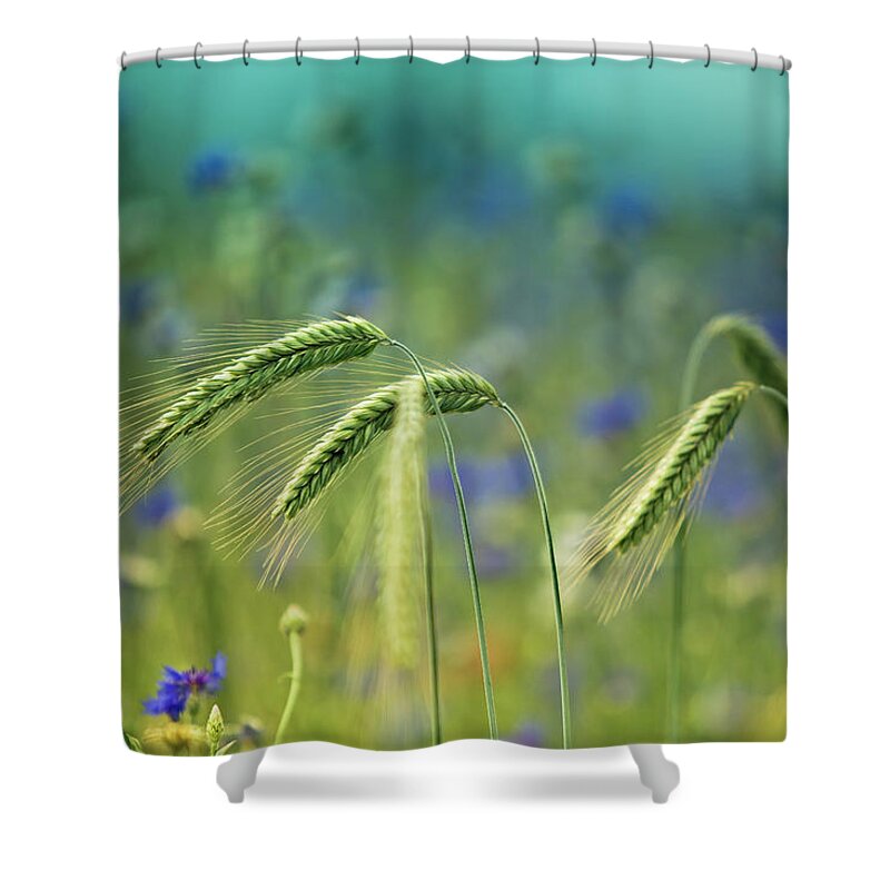 Wheat Shower Curtain featuring the photograph Wheat And Corn Flowers by Nailia Schwarz