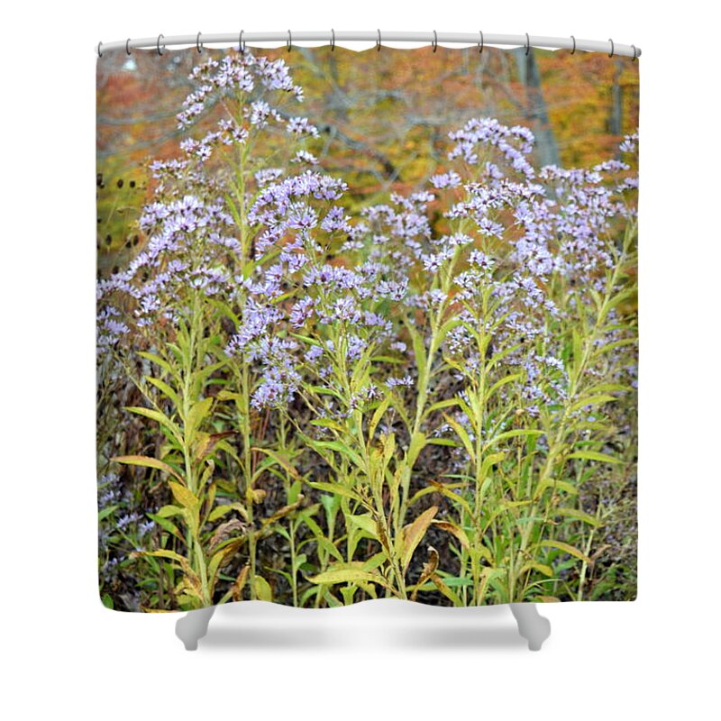 Flower Shower Curtain featuring the photograph Whimsy #1 by Deborah Crew-Johnson