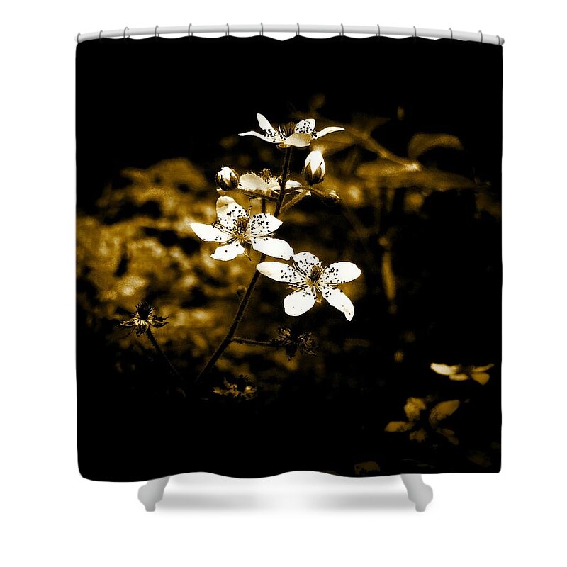 Flower Shower Curtain featuring the photograph White flowers #1 by Ryan Cruse