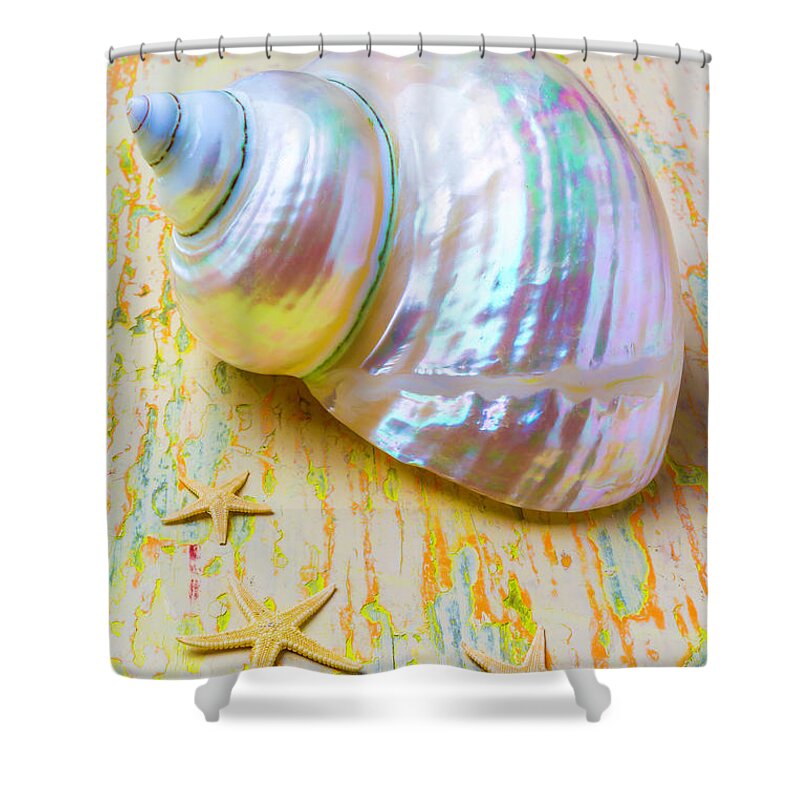 Sea Shell Shower Curtain featuring the photograph White Shell And Starfish #1 by Garry Gay