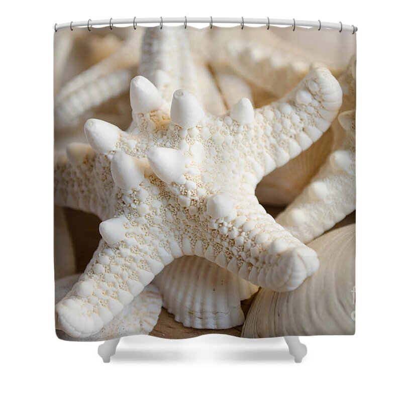 Starfish Shower Curtain featuring the photograph White starfish #1 by Andrea Anderegg