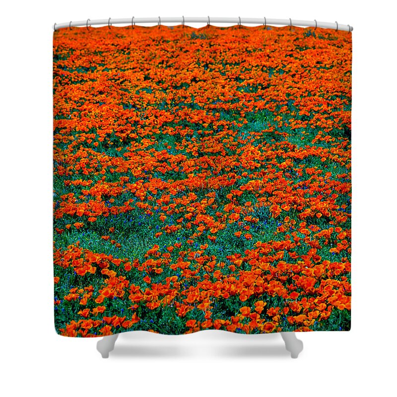 Poppy Shower Curtain featuring the photograph Wild Poppies #1 by Garry Gay