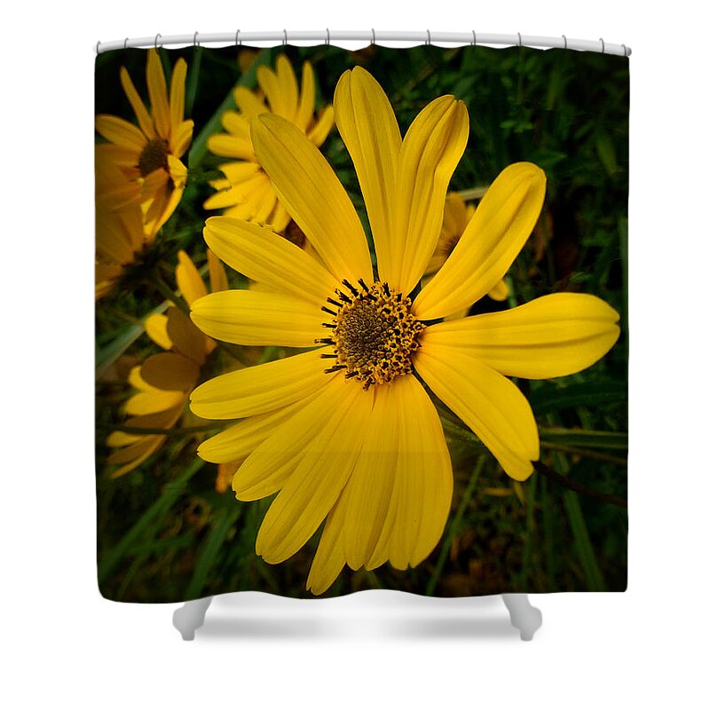 Fine Art Prints Shower Curtain featuring the photograph Wild Yellow #1 by Dave Bosse
