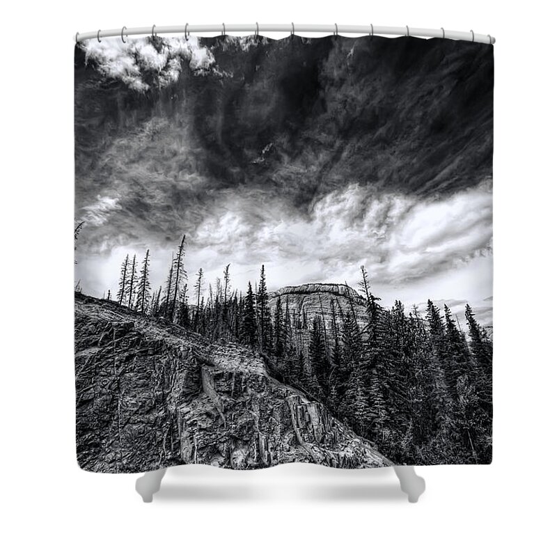 Beauty Shower Curtain featuring the photograph Wilderness by Wayne Sherriff