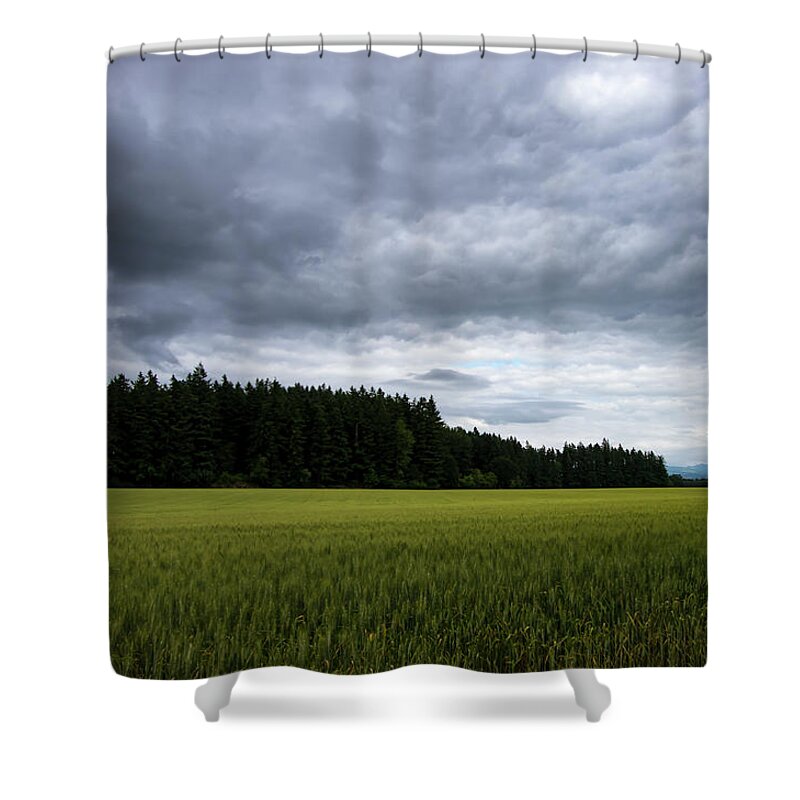 Western Oregon Shower Curtain featuring the photograph Willamette Wheat #3 by Steven Clark