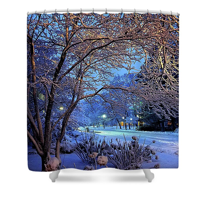 Winter Shower Curtain featuring the photograph Winter #1 by Phil Koch