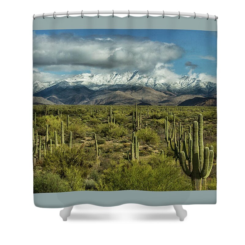 Arizona Shower Curtain featuring the photograph Winter Sonoran Style #2 by Saija Lehtonen
