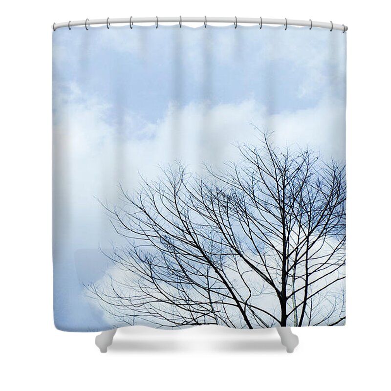 Winter Fall White Sky Shower Curtain featuring the photograph Winter Tree by Adelista J
