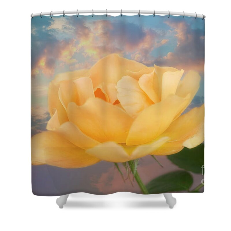 Rose Shower Curtain featuring the photograph Yellow Rose of Texas #2 by Joan Bertucci