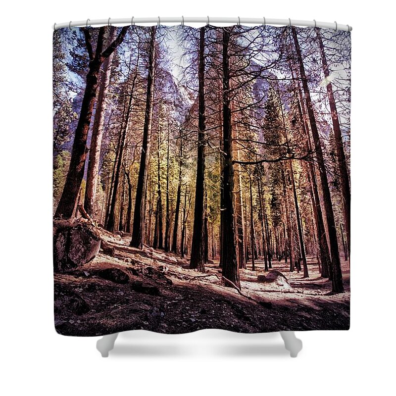 Nature Photography Shower Curtain featuring the photograph Yosemite Forest #1 by Bonnie Bruno