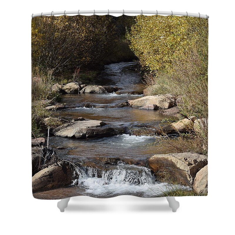 Water Shower Curtain featuring the photograph Waterfall Westcliffe CO by Margarethe Binkley