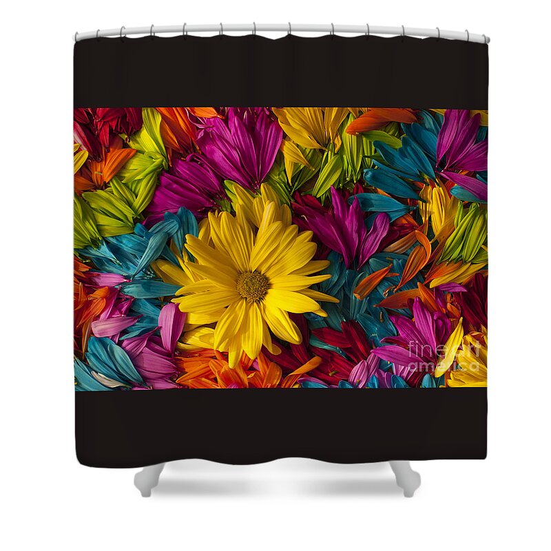 Abstract Shower Curtain featuring the photograph Daisy Petals Abstracts #10 by Jim Corwin