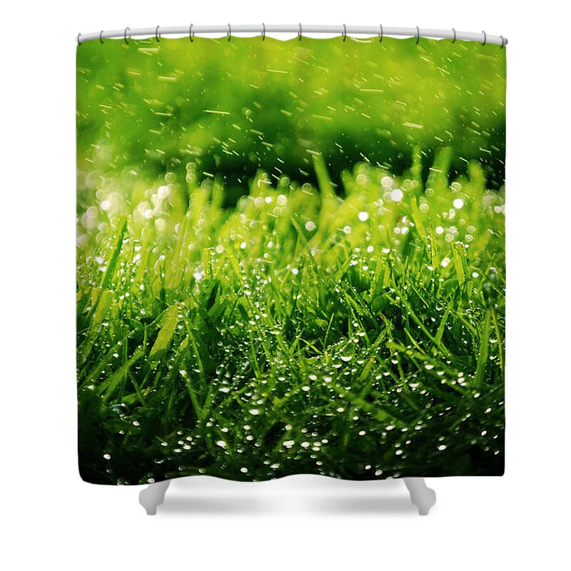 Grass Shower Curtain featuring the photograph Grass #10 by Mariel Mcmeeking