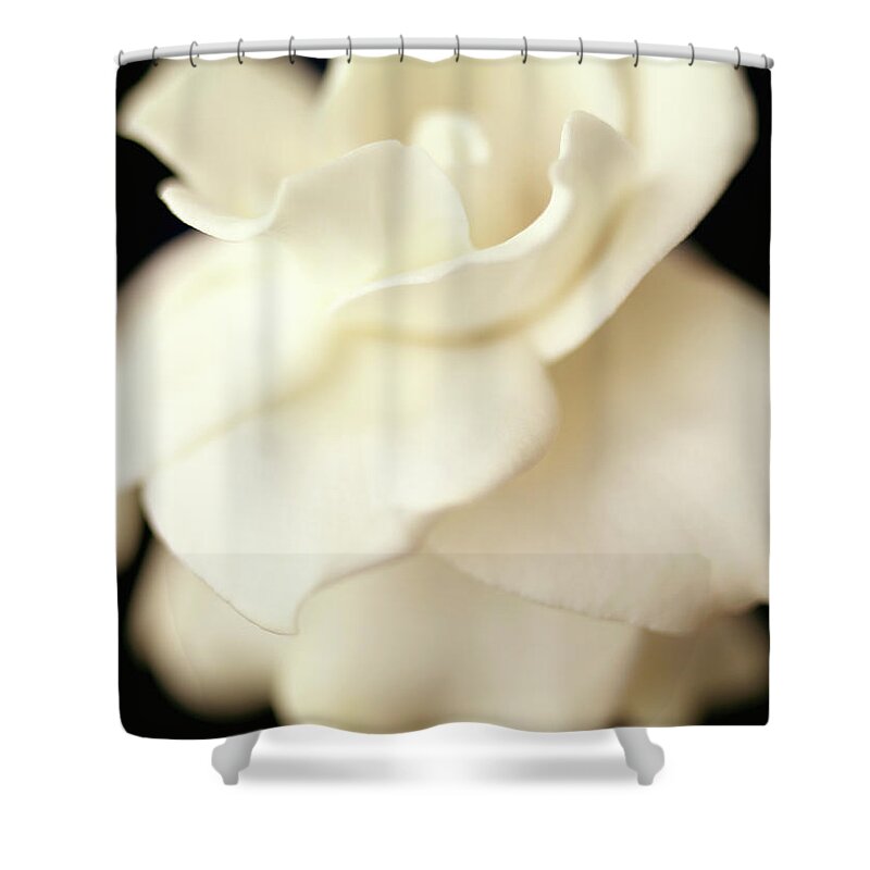 Flower Shower Curtain featuring the photograph Gardenia by Anne Geddes
