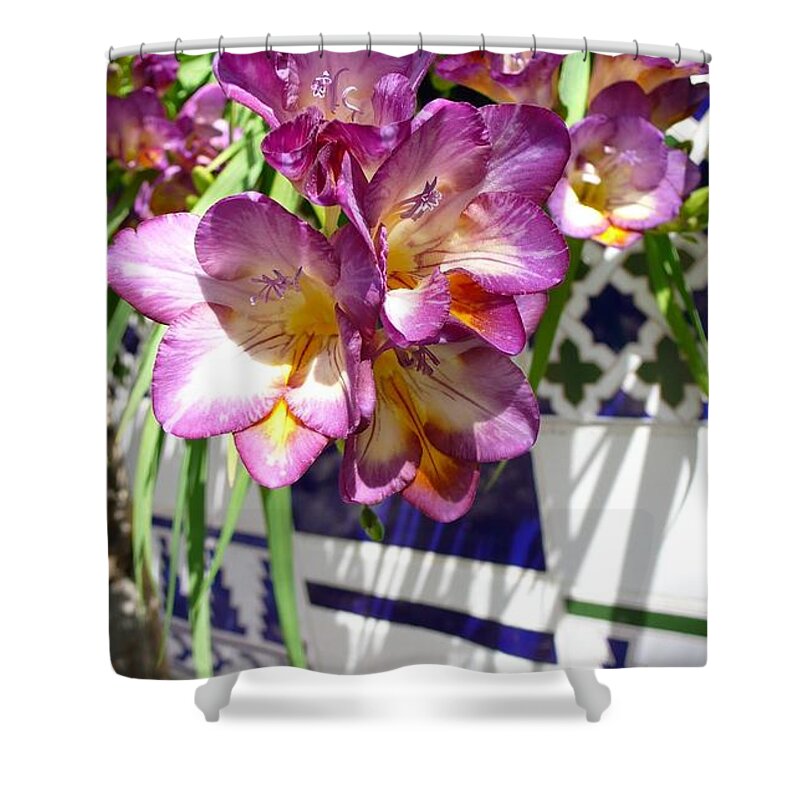 Flower Shower Curtain featuring the photograph Flower #100 by Mariel Mcmeeking