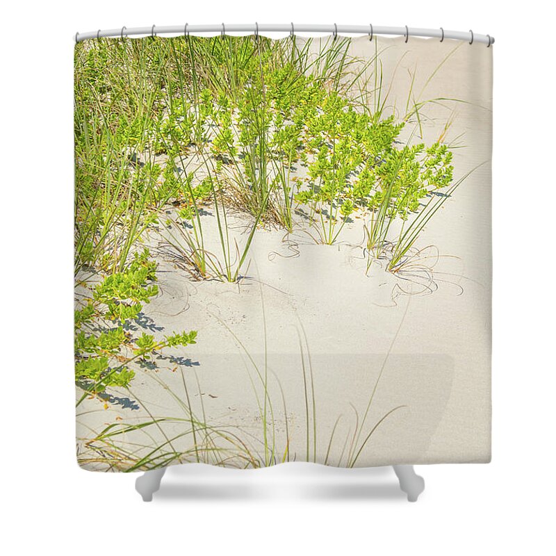 Beach Shower Curtain featuring the photograph 10963 Sea Oats by Pamela Williams