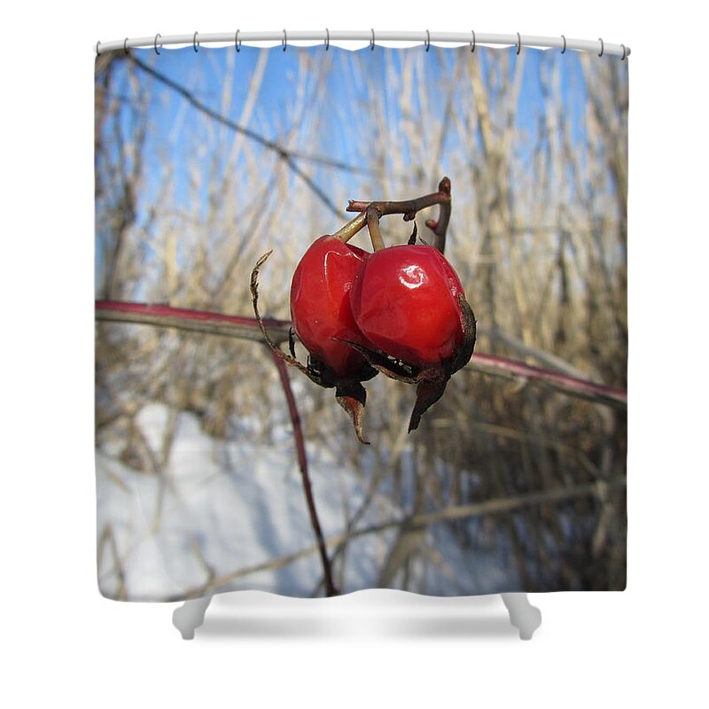 Berry Shower Curtain featuring the photograph Berry #11 by Mariel Mcmeeking