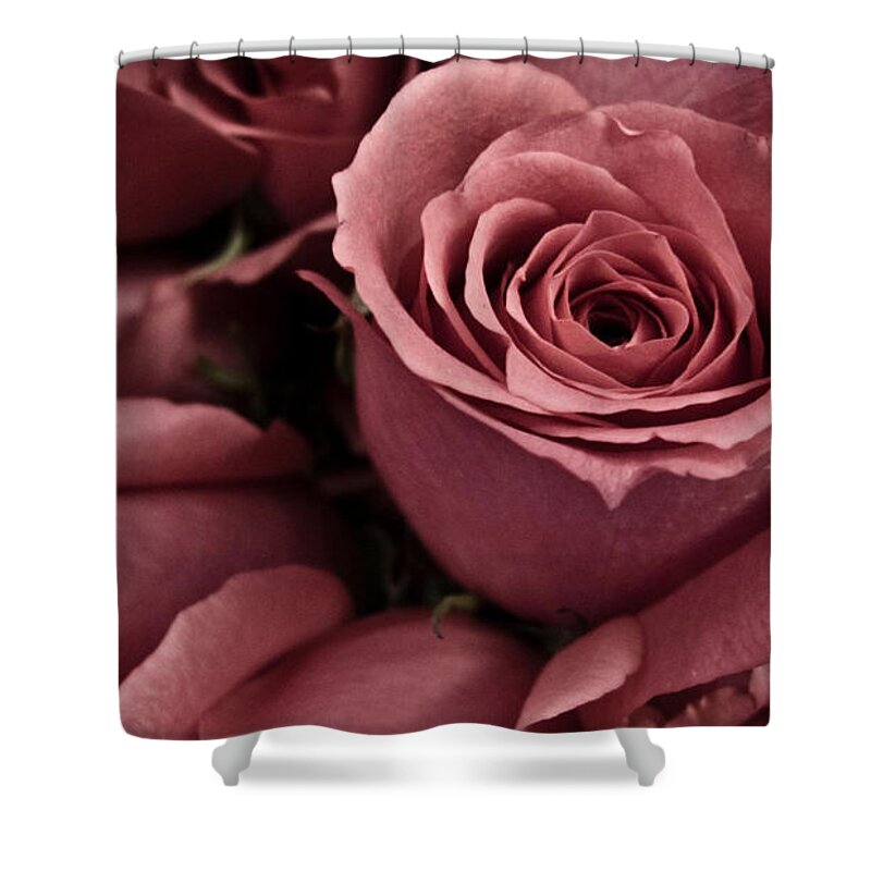 Rose Shower Curtain featuring the photograph Rose #11 by Jackie Russo
