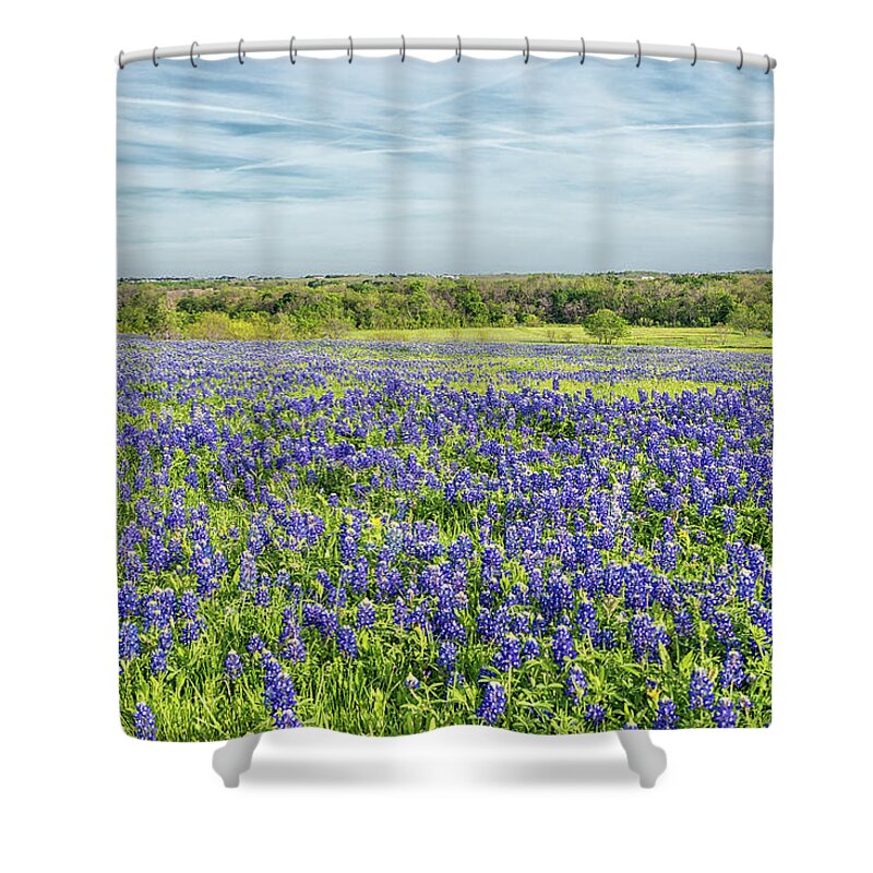 Texas Wildflowers Shower Curtain featuring the photograph Texas Bluebonnets 11 by Victor Culpepper