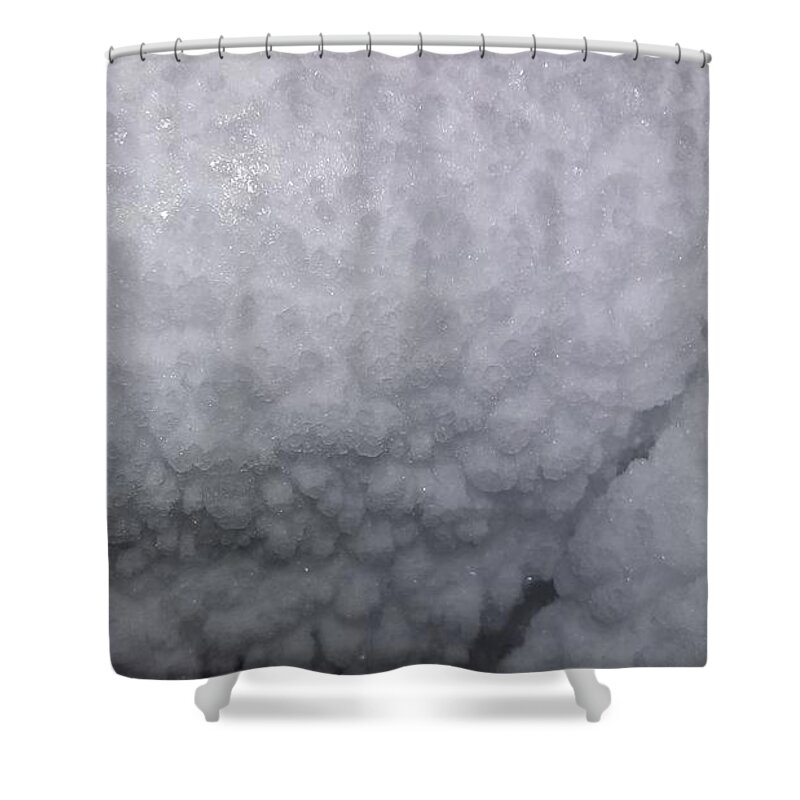 Close Up Shower Curtain featuring the photograph Close Up #12 by Jackie Russo