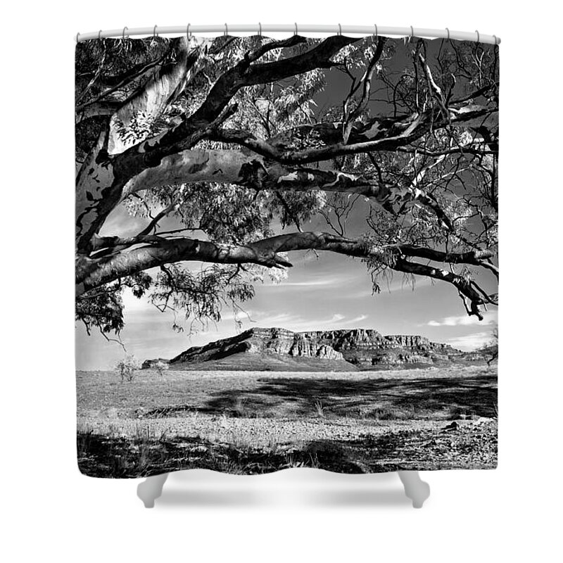 Wilpena Pound Flinders Ranges South Australia Outback Landscape B&w Black And White Monochrome Shower Curtain featuring the photograph Wilpena Pound #12 by Bill Robinson