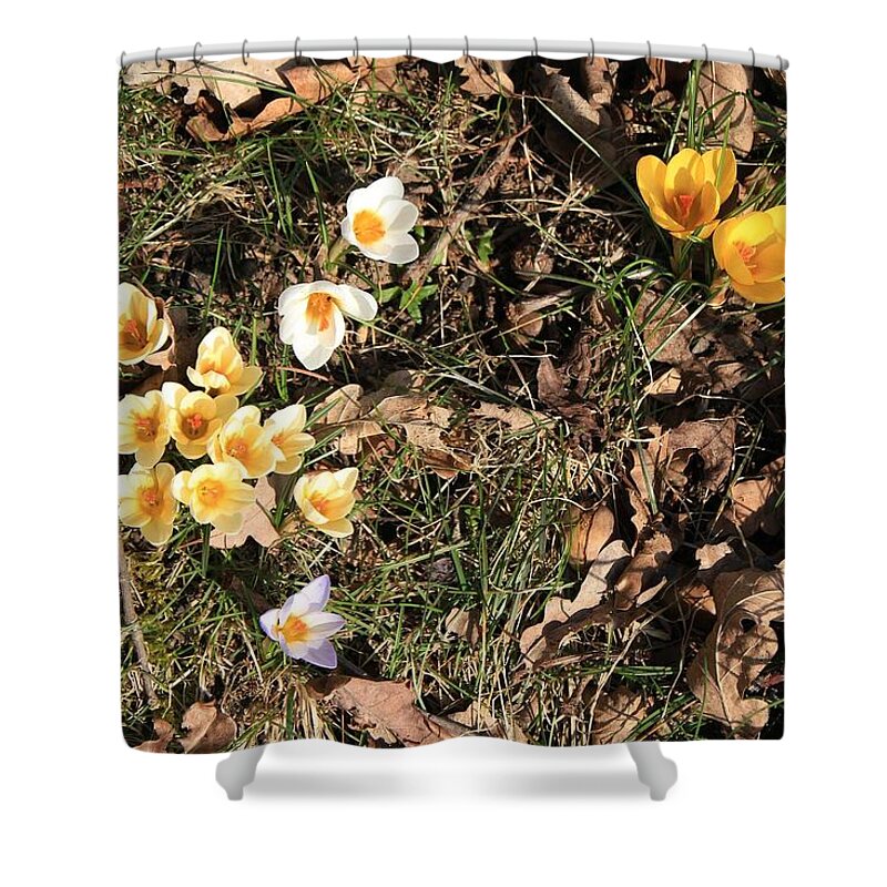 Flower Shower Curtain featuring the photograph Flower #127 by Mariel Mcmeeking