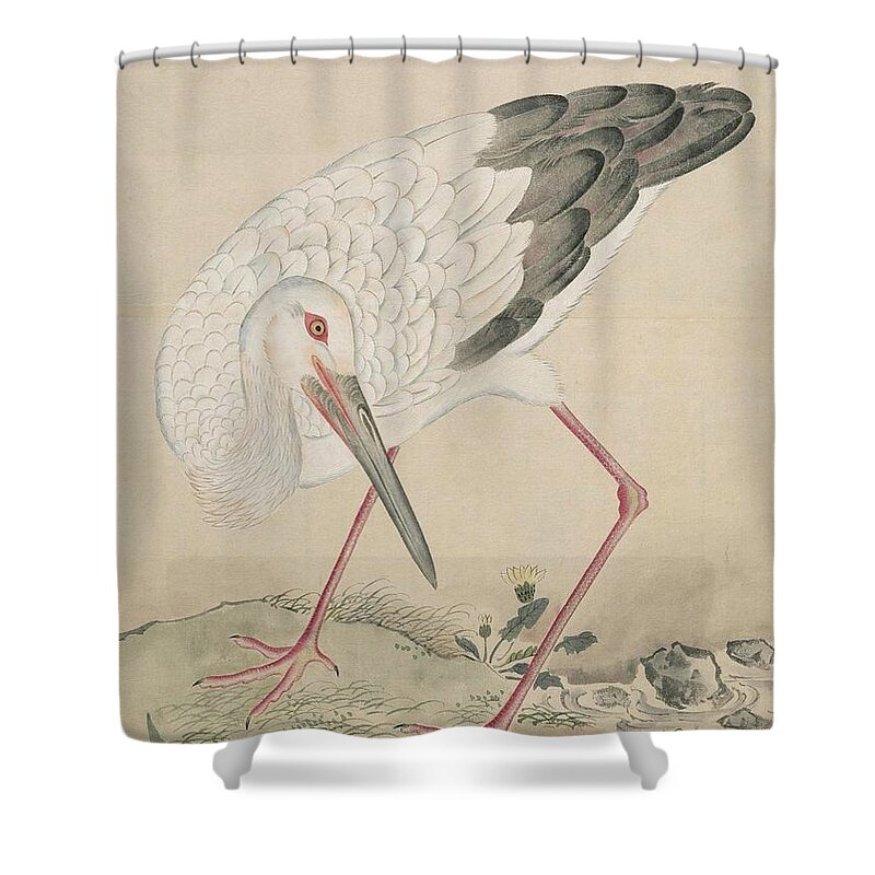  Shower Curtain featuring the painting Birds of Japan in the 19th century #13 by Celestial Images