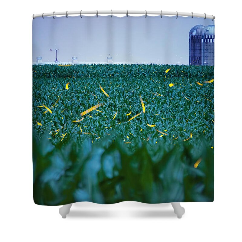 Fireflies Shower Curtain featuring the photograph 1306 - Fireflies - Lightning Bugs over Corn by Seth Dochter