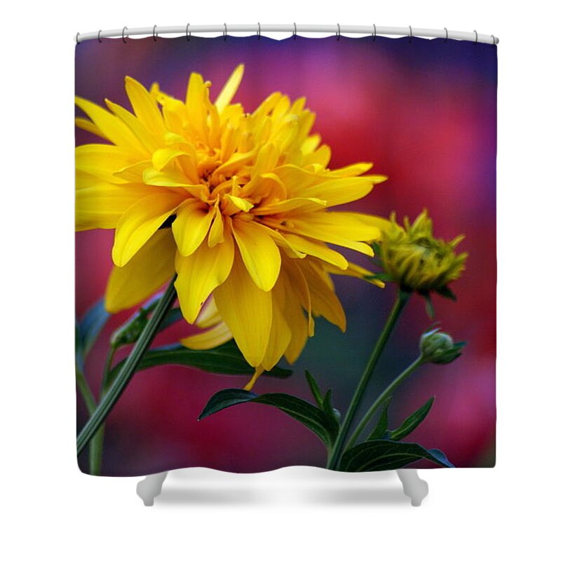 Flower Shower Curtain featuring the digital art Flower #132 by Super Lovely