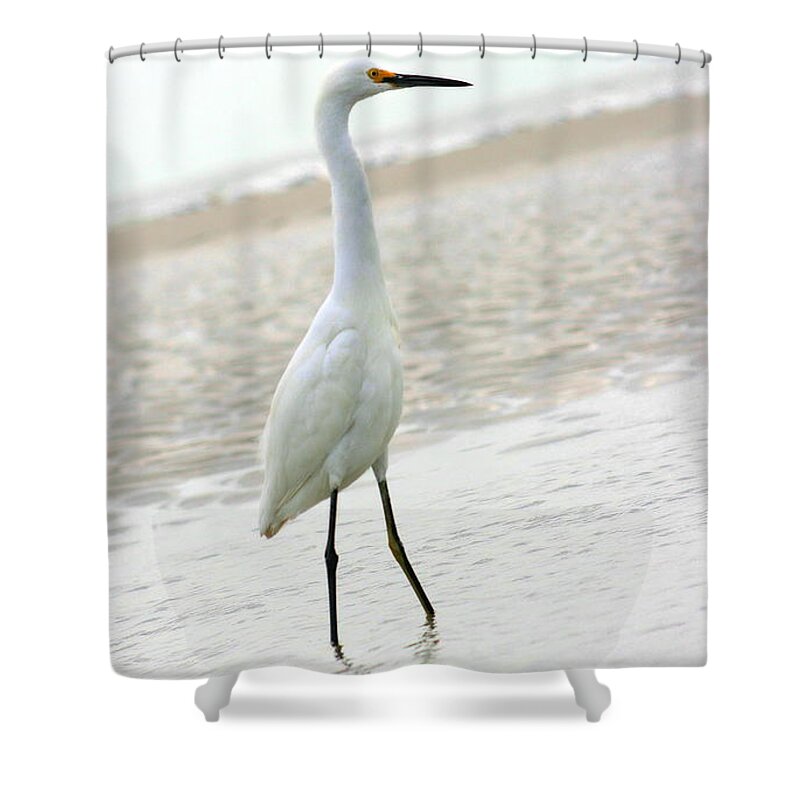 Shower Curtain featuring the photograph Egret #14 by Angela Rath