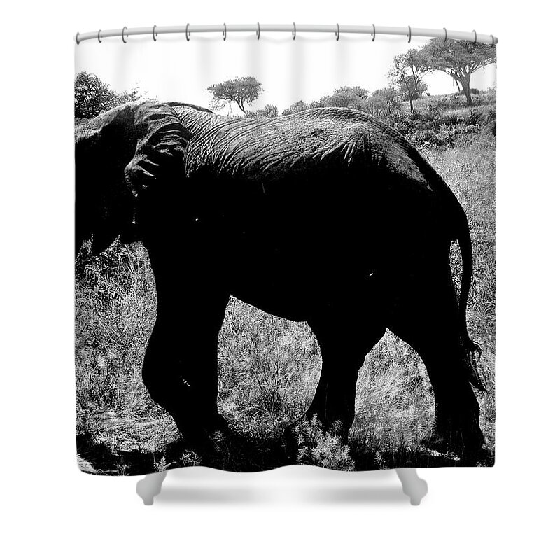 Tanzania Shower Curtain featuring the photograph Tanzania #14 by Paul James Bannerman