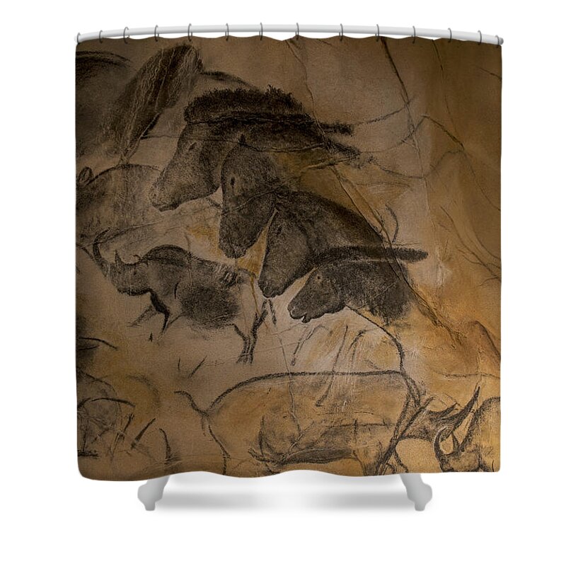 Replica Shower Curtain featuring the photograph 150501p086 by Arterra Picture Library