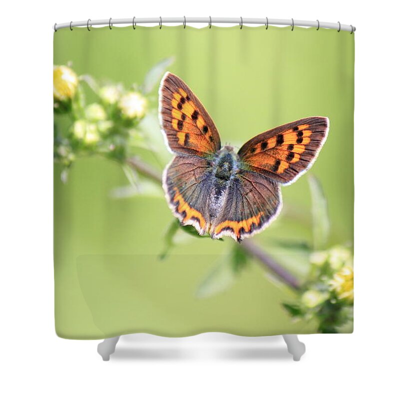 Butterfly Shower Curtain featuring the digital art Butterfly #16 by Super Lovely