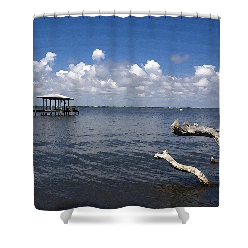 Driftwood Shower Curtain featuring the painting Indian River Lagoon #16 by Allan Hughes