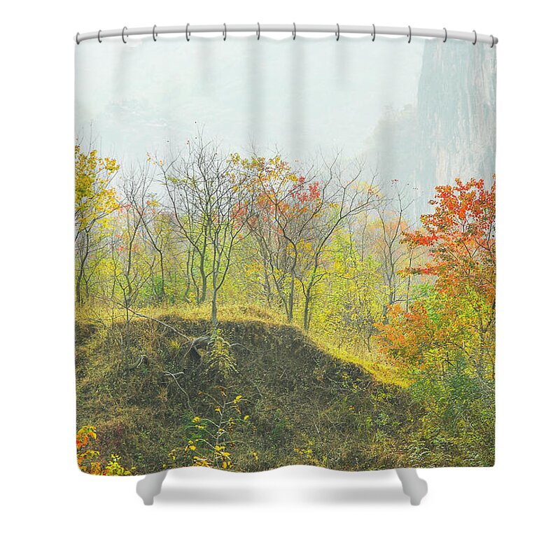 Red Shower Curtain featuring the photograph The colorful autumn scenery #18 by Carl Ning