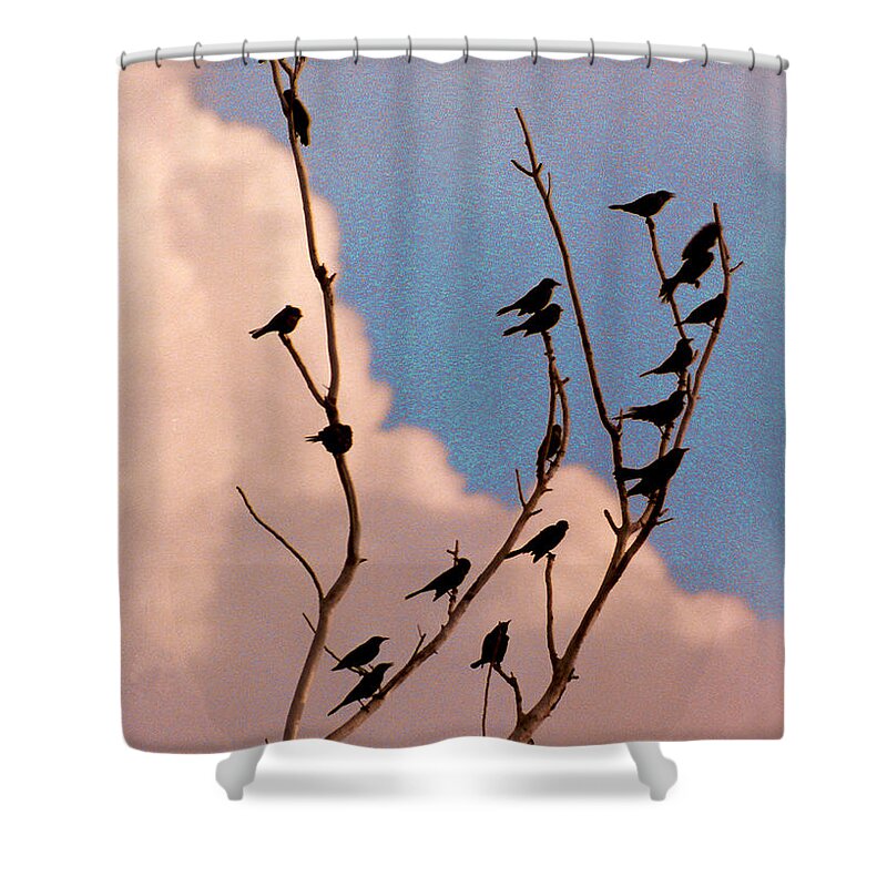 Birds Shower Curtain featuring the photograph 19 Blackbirds by Steve Karol