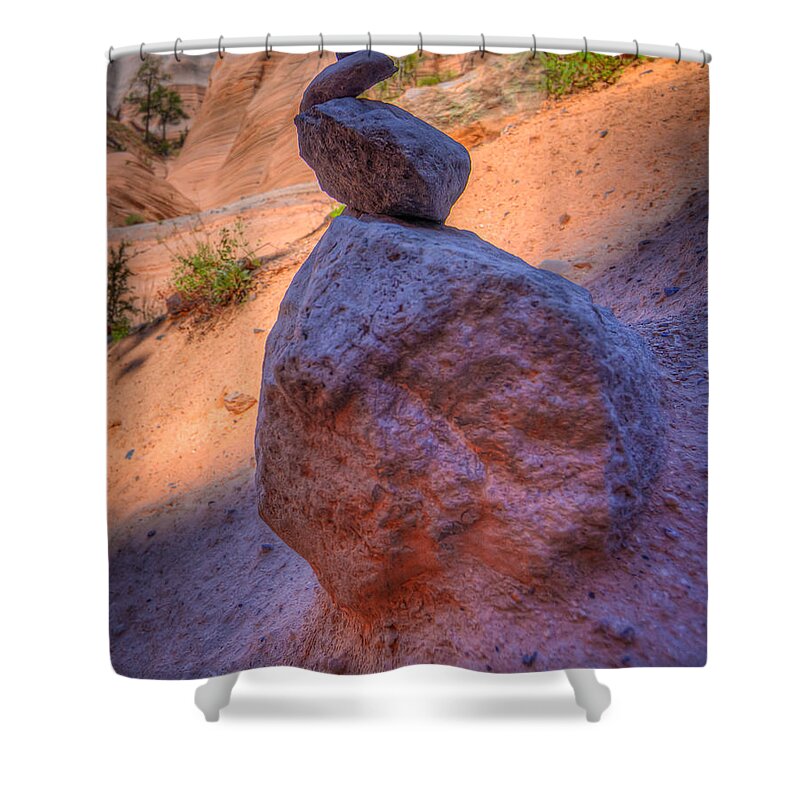 New Mexico Shower Curtain featuring the photograph New Mexico 30 by David Henningsen
