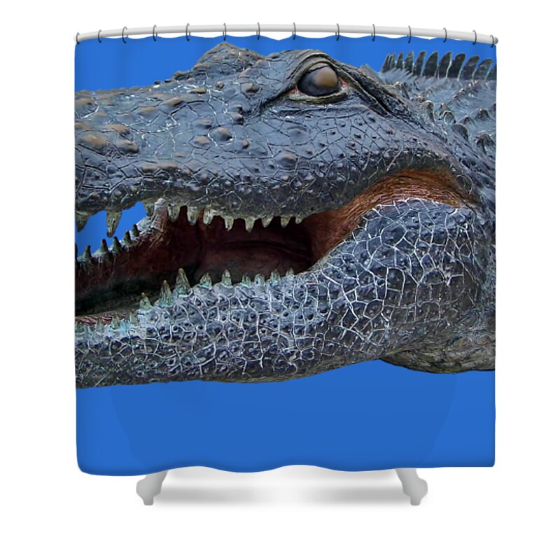 The Swamp Shower Curtain featuring the photograph 1998 Bull Gator Up Close Transparent For Customization by D Hackett