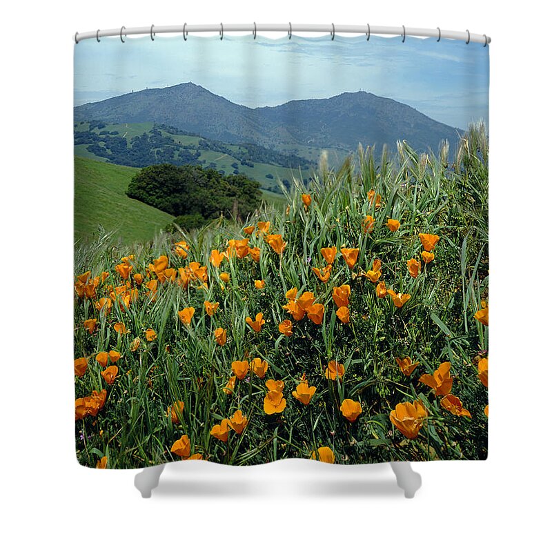 Mt. Diablo Shower Curtain featuring the photograph 1A6493 Mt. Diablo and Poppies by Ed Cooper Photography