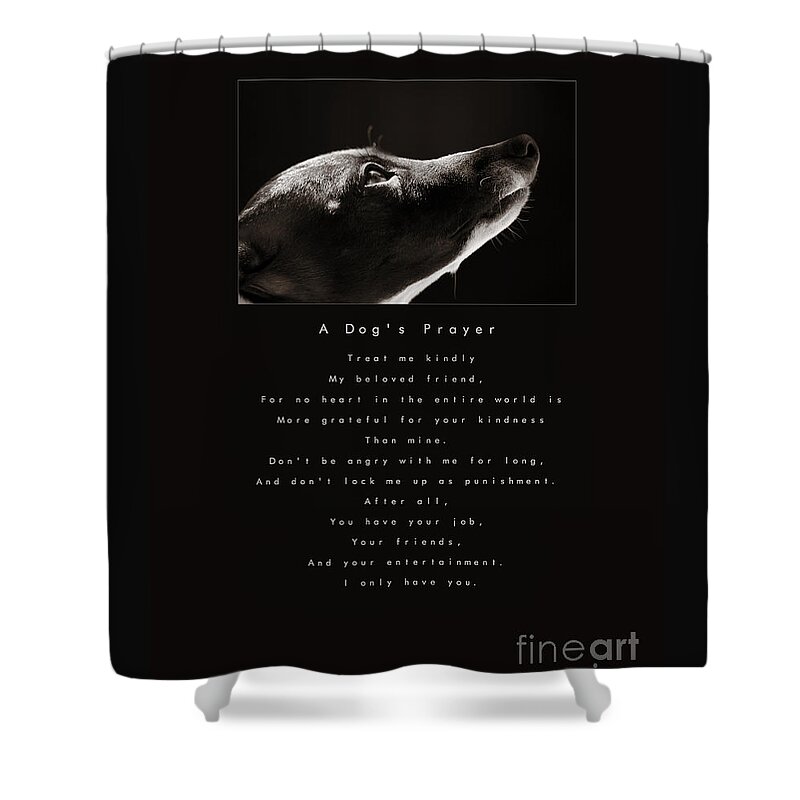 A Dogs Prayer Shower Curtain featuring the photograph A Dog's Prayer A Popular Inspirational Portrait and Poem Featuring an Italian Greyhound Rescue by Angela Rath