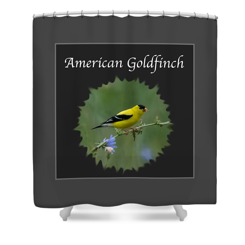 American Goldfinch Shower Curtain featuring the photograph American Goldfinch #2 by Holden The Moment