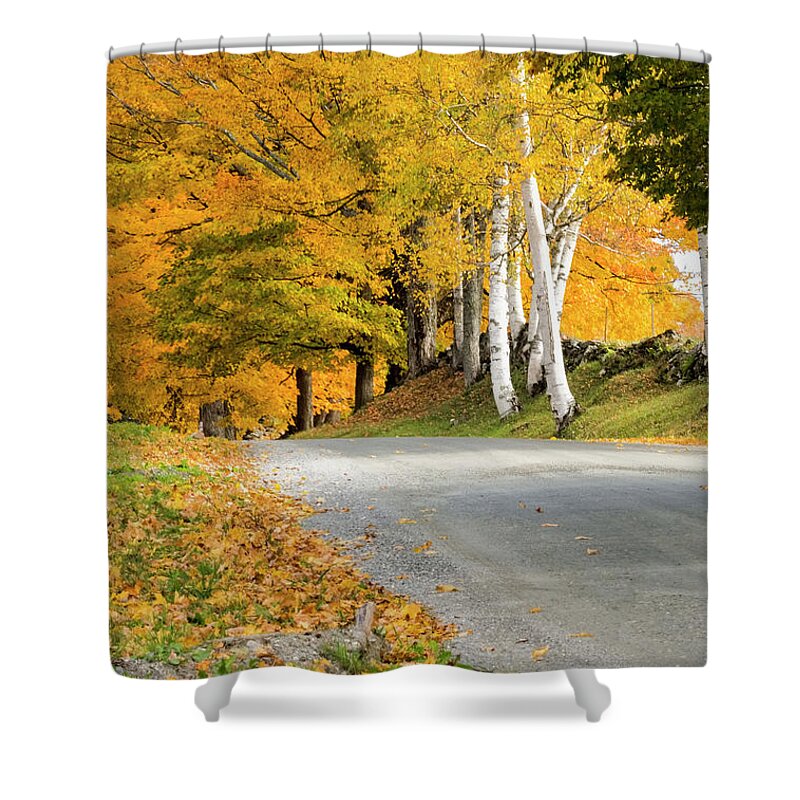 Autumn Birches Shower Curtain featuring the photograph Autumn Road by Tom Singleton