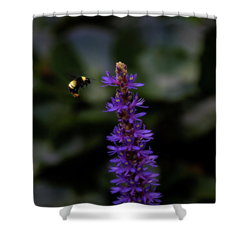 Jay Stockhaus Shower Curtain featuring the photograph Bee #2 by Jay Stockhaus