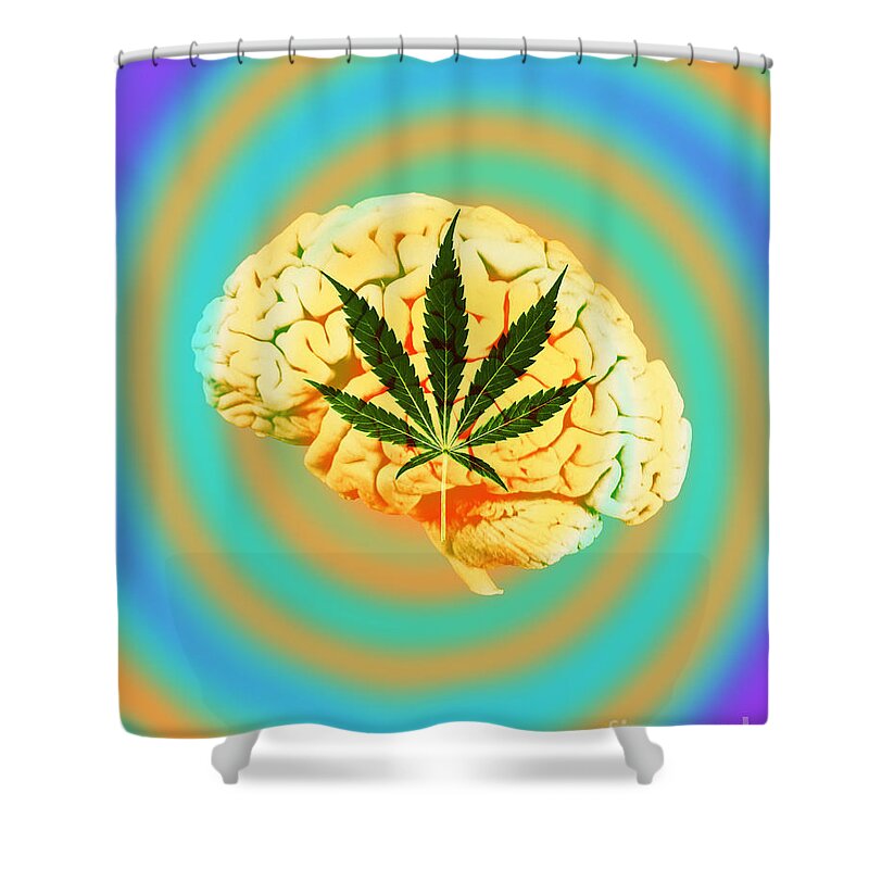Medical Shower Curtain featuring the photograph Brain And Marijuana, Illustration #2 by Mary Martin